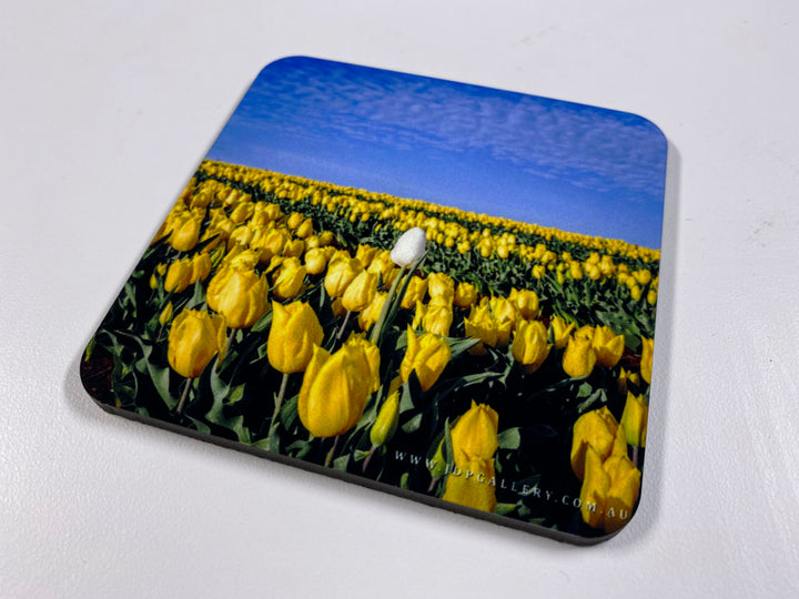 Eternal Seasons Coaster Collection (Set of 8)