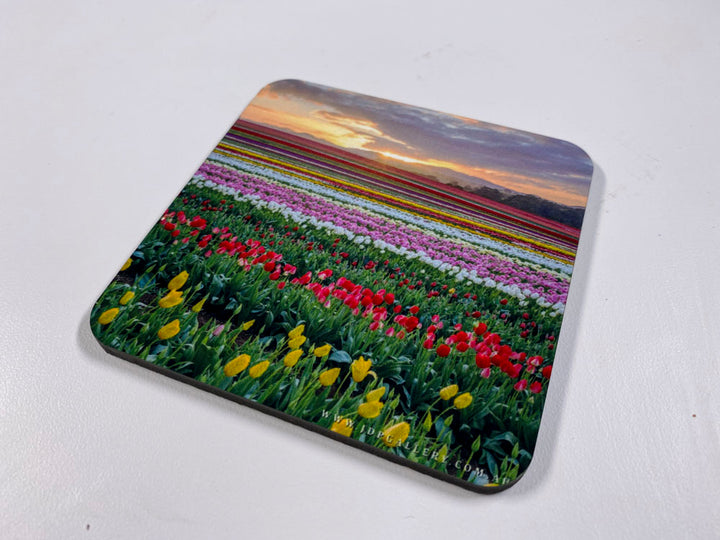 Eternal Seasons Coaster Collection (Set of 8)