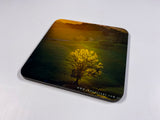 Sunrises #1 Coasters (Set of 8)