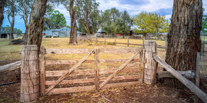 The Last Gate (Panorama) Jigsaw Puzzle by Artist Jaime Dormer and Manufactured by QPuzzles in Queensland