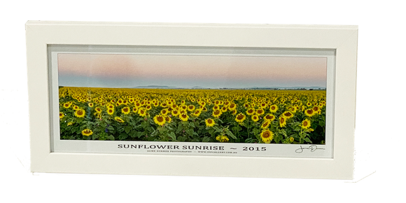 Sunflower Sunrise (Desktop Frame)