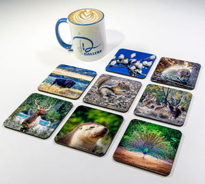 Wildlife #2 Coasters (Set of 8)
