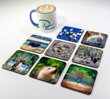 Wildlife #2 Coasters (Set of 8)